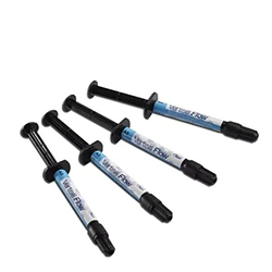 r1p1